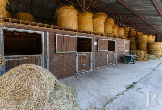 demeures et chateaux ile de france   - 14