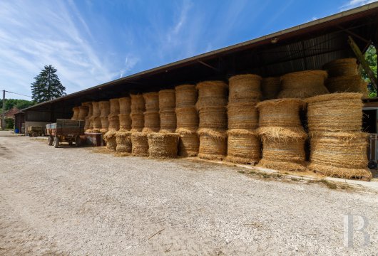 demeures et chateaux ile de france   - 15