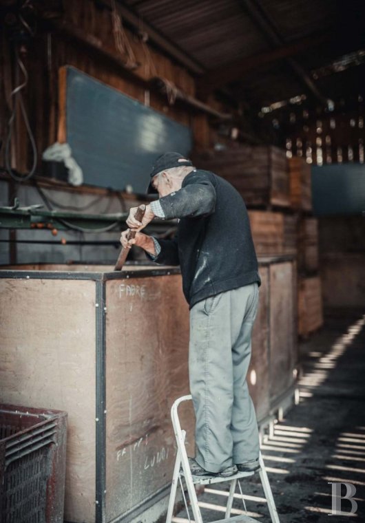 A Directoire style manor house and outbuildings dedicated to holidays south of Sarlat-la-Canéda, in the south of the Dordogne - photo  n°26