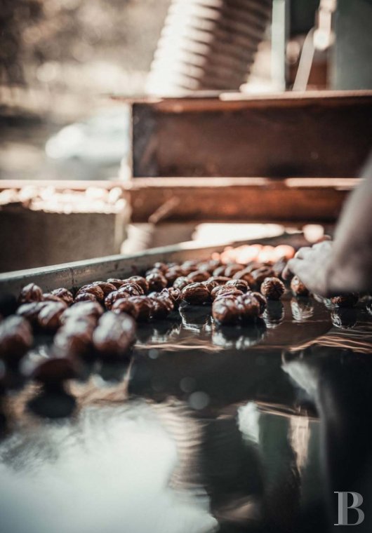 A Directoire style manor house and outbuildings dedicated to holidays south of Sarlat-la-Canéda, in the south of the Dordogne - photo  n°25