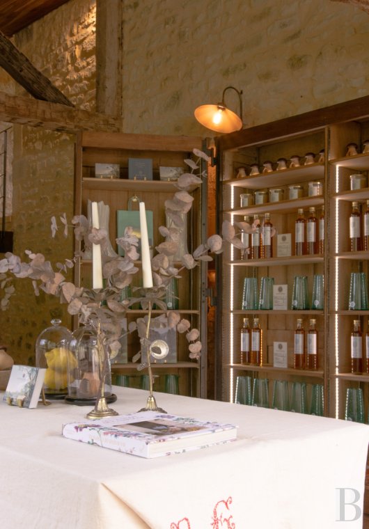 A Directoire style manor house and outbuildings dedicated to holidays south of Sarlat-la-Canéda, in the south of the Dordogne - photo  n°27