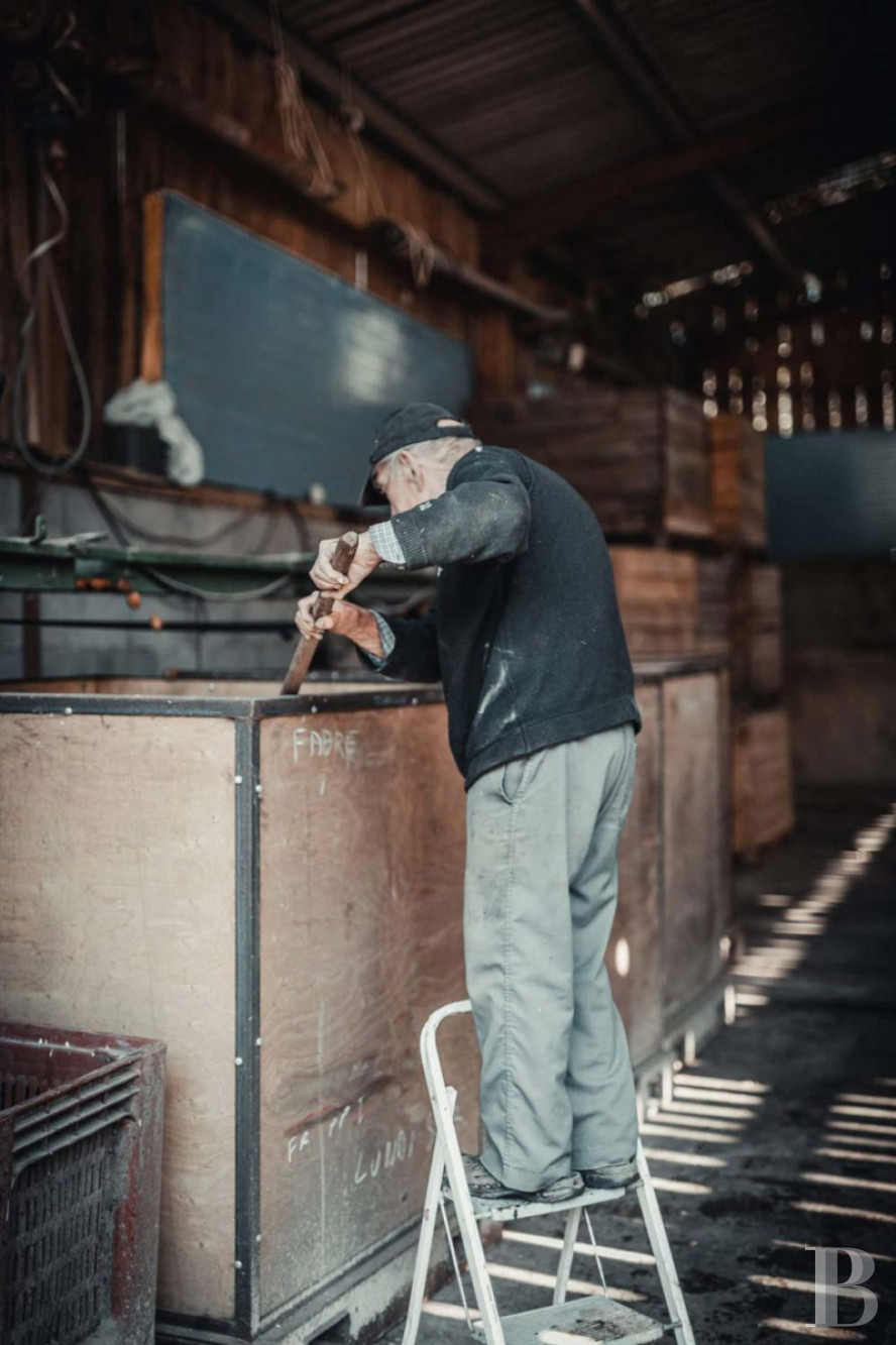 A Directoire style manor house and outbuildings dedicated to holidays south of Sarlat-la-Canéda, in the south of the Dordogne - photo  n°26