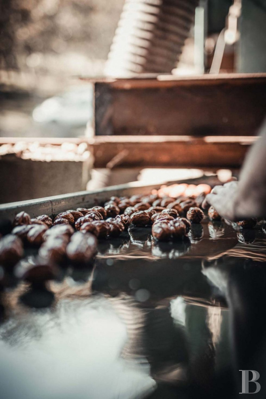 A Directoire style manor house and outbuildings dedicated to holidays south of Sarlat-la-Canéda, in the south of the Dordogne - photo  n°25