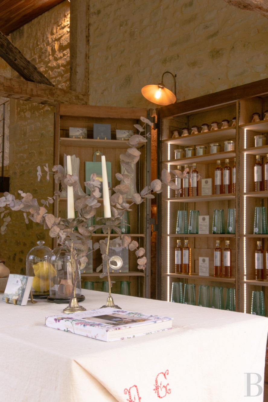 A Directoire style manor house and outbuildings dedicated to holidays south of Sarlat-la-Canéda, in the south of the Dordogne - photo  n°27