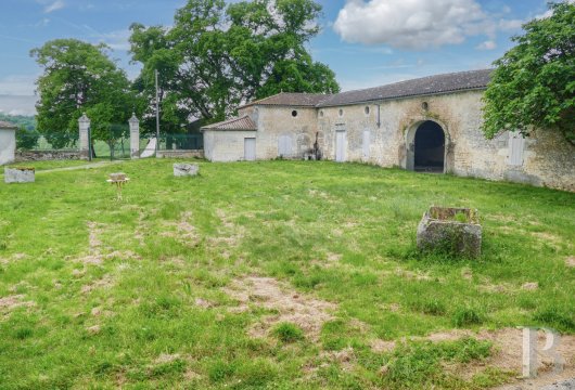chateaux a vendre poitou charentes   - 6
