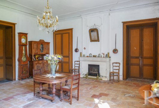 chateaux a vendre poitou charentes   - 5
