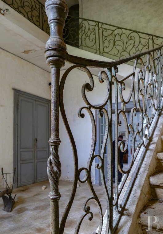 chateaux a vendre poitou charentes   - 8