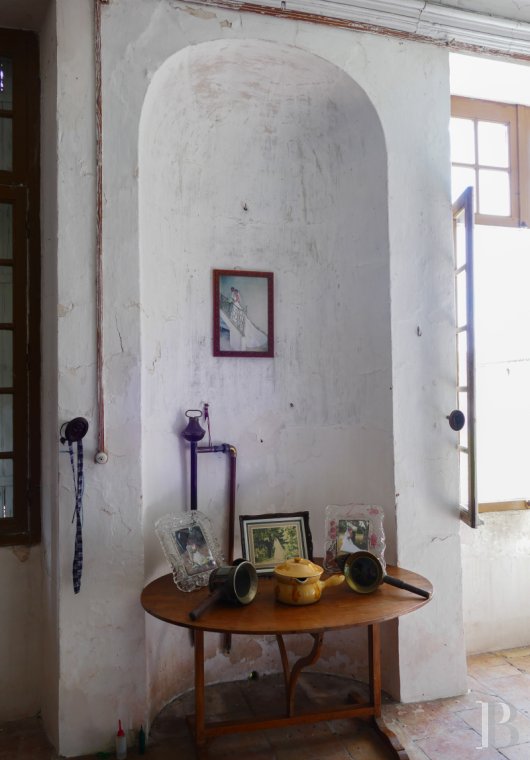 chateaux a vendre poitou charentes   - 7