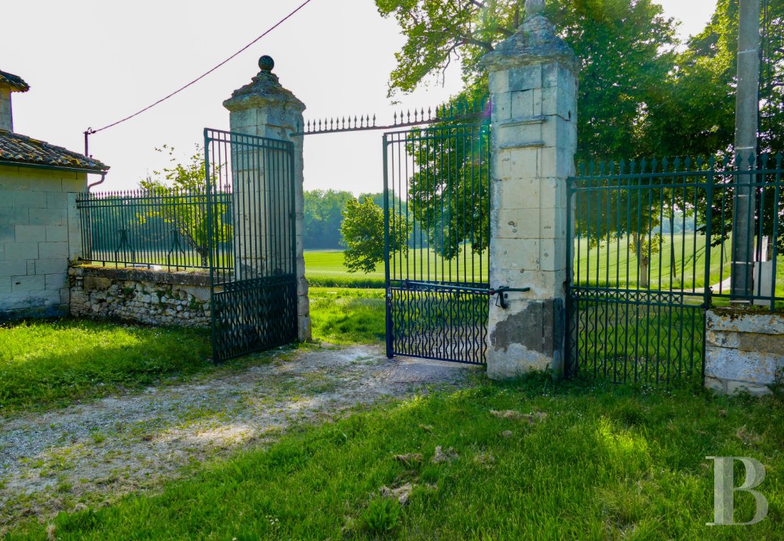 chateaux a vendre poitou charentes   - 9