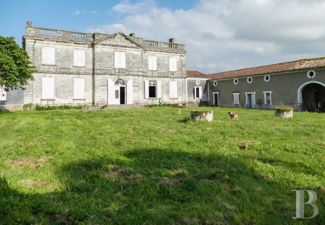 chateaux a vendre poitou charentes   - 2