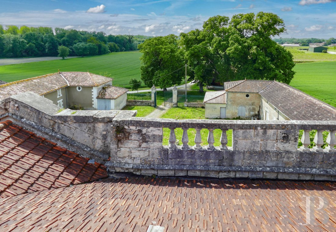 chateaux a vendre poitou charentes   - 10