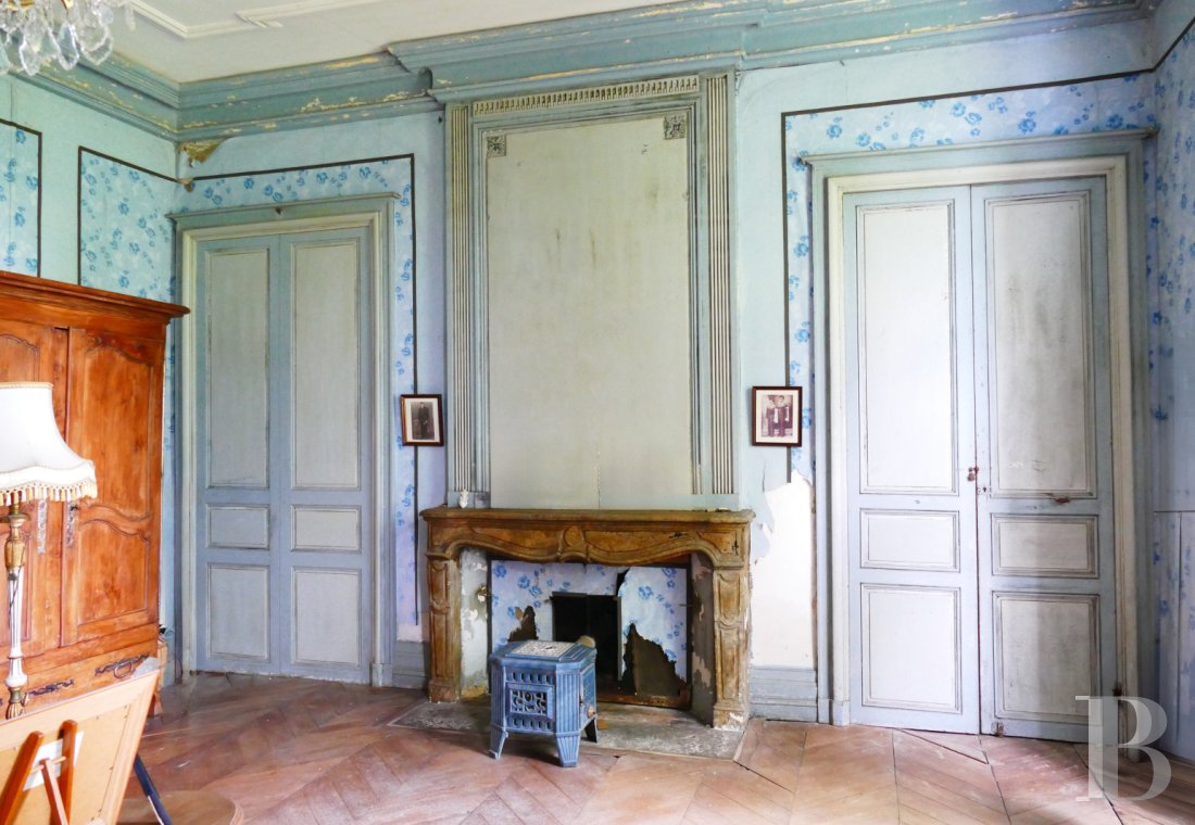 chateaux a vendre poitou charentes   - 3
