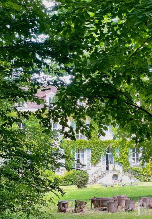 chateaux for sale France ile de france   - 11