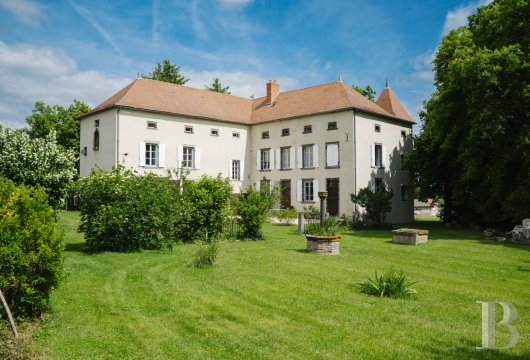 auvergne - A chateau surrounded by 5-hectare grounds in the north of the Puy-de-Dôme department