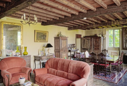 chateaux a vendre auvergne   - 5