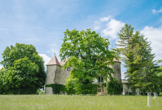 auvergne - Dans le nord du département du Puy-de-Dôme,
 un château au centre d'un terrain de 5 ha
