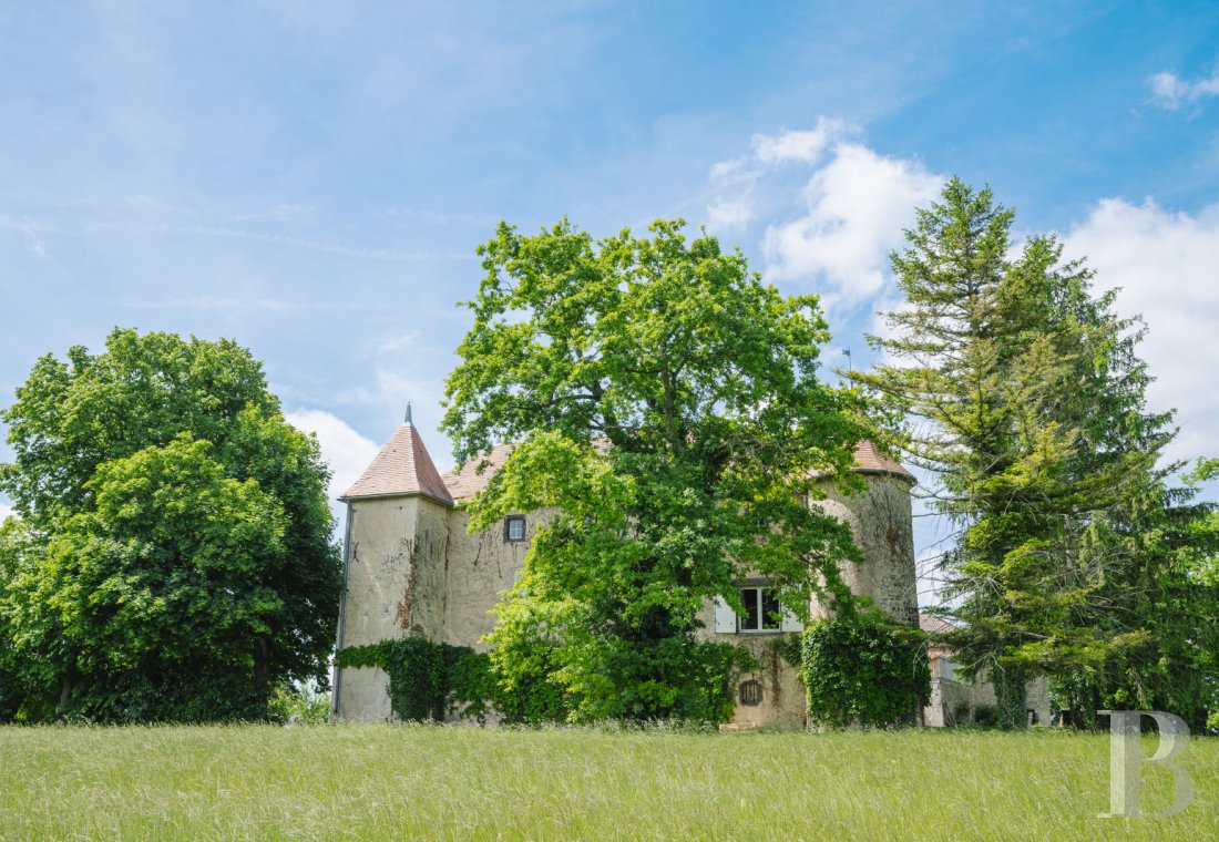 chateaux a vendre auvergne   - 5