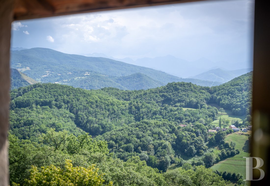 chateaux for sale France midi pyrenees   - 20