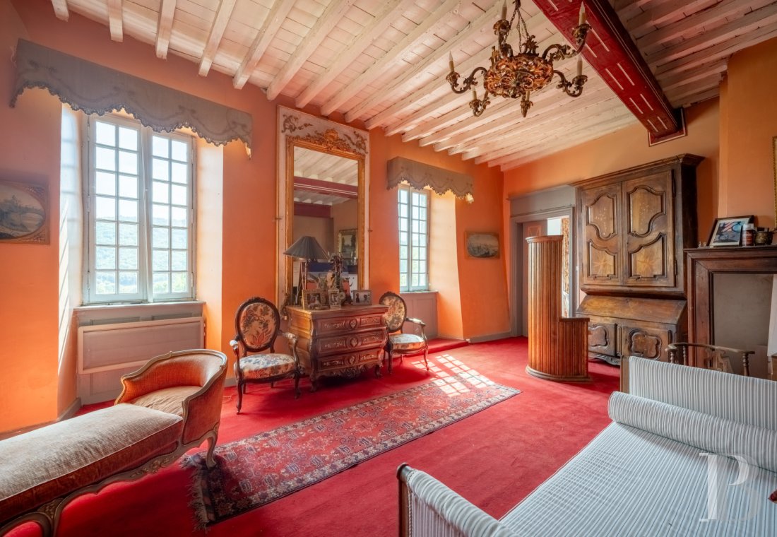 chateaux for sale France midi pyrenees   - 17