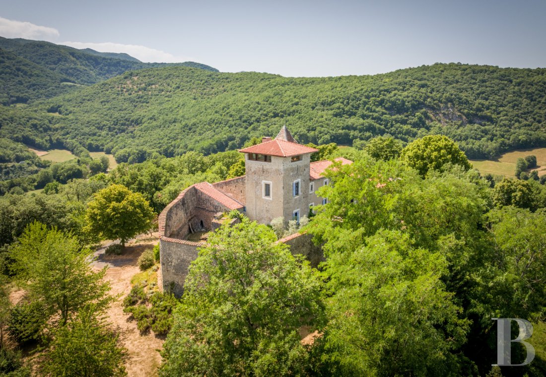 chateaux for sale France midi pyrenees   - 3