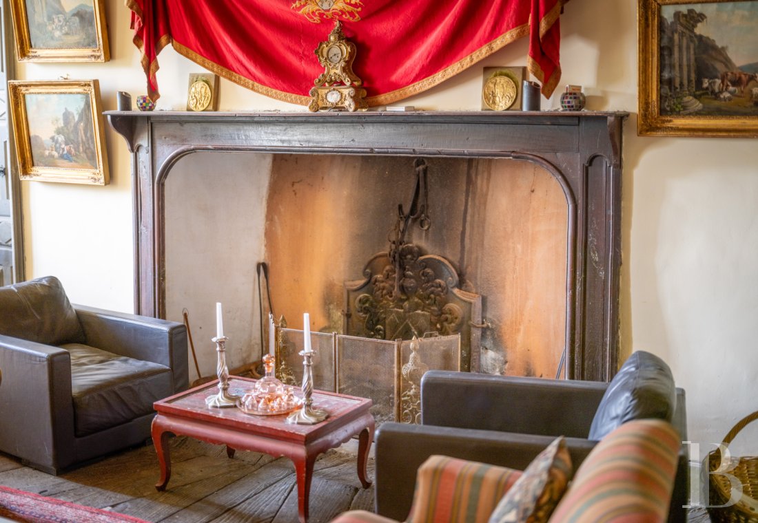chateaux for sale France midi pyrenees   - 6