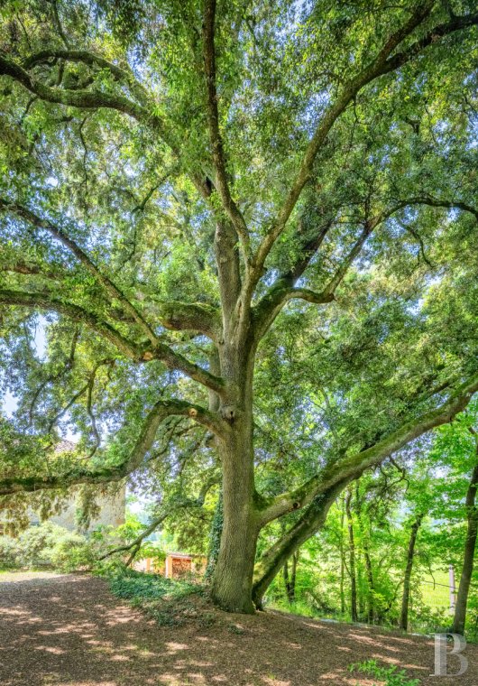 belles demeures midi pyrenees   - 21