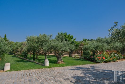 vignobles a vendre paca   - 16