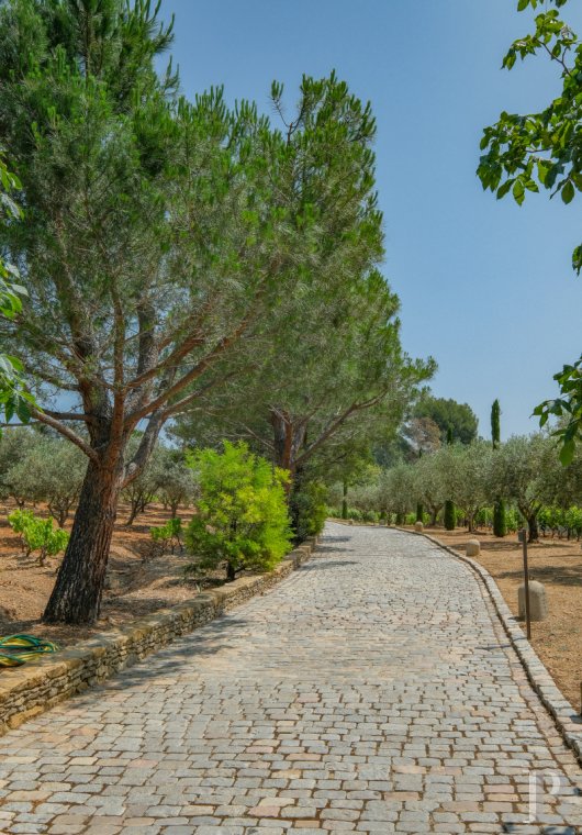vignobles a vendre paca   - 17