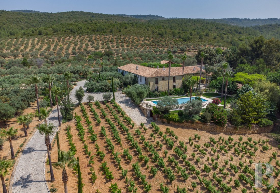 vignobles a vendre paca   - 2