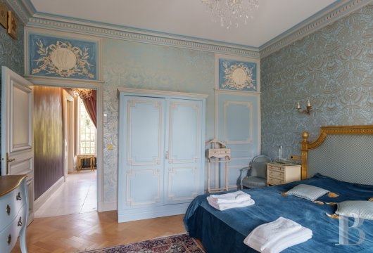chateaux for sale France burgundy   - 19