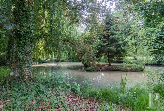 chateaux for sale France burgundy   - 35