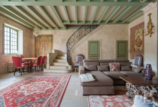 chateaux for sale France burgundy   - 22