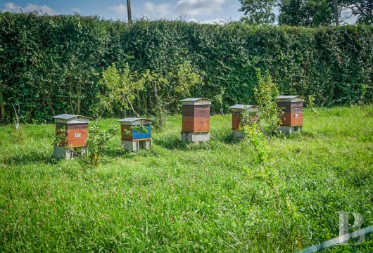 chateaux a vendre bourgogne   - 20