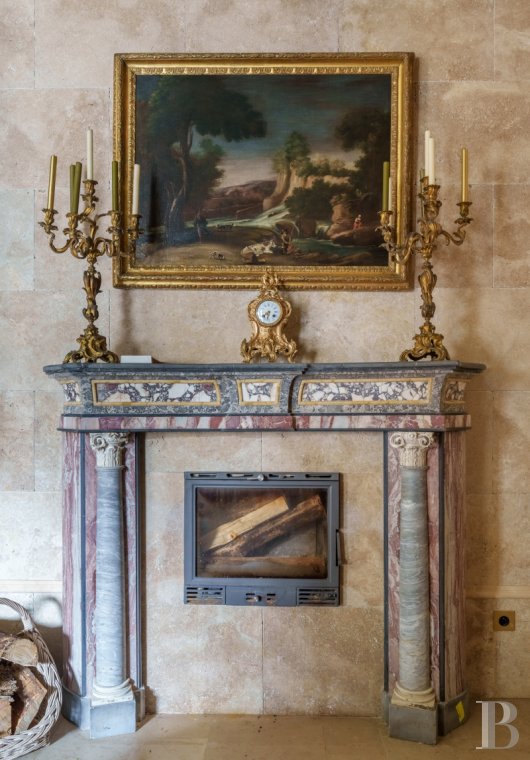 chateaux for sale France burgundy   - 25