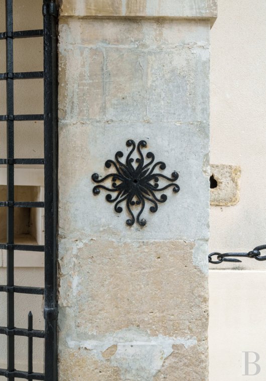 chateaux for sale France burgundy   - 9