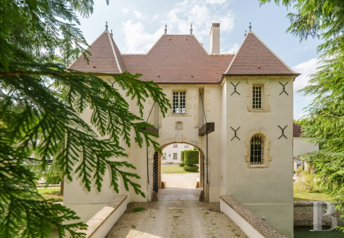 chateaux for sale France burgundy   - 7