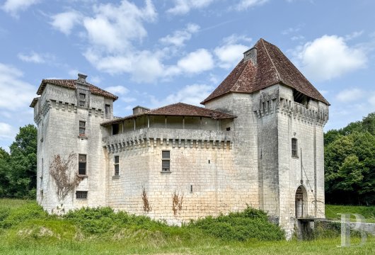 chateaux a vendre aquitaine   - 4