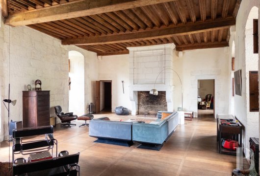 chateaux a vendre aquitaine   - 10