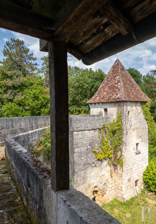 chateaux a vendre aquitaine   - 17