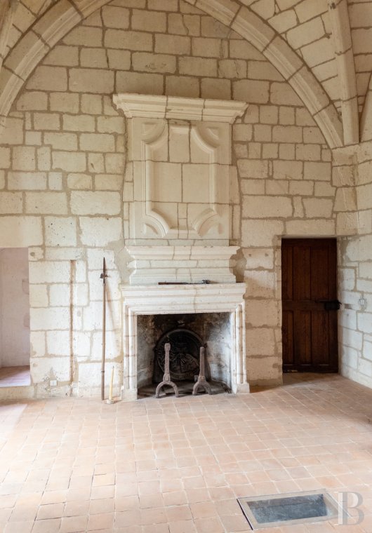 chateaux a vendre aquitaine   - 8