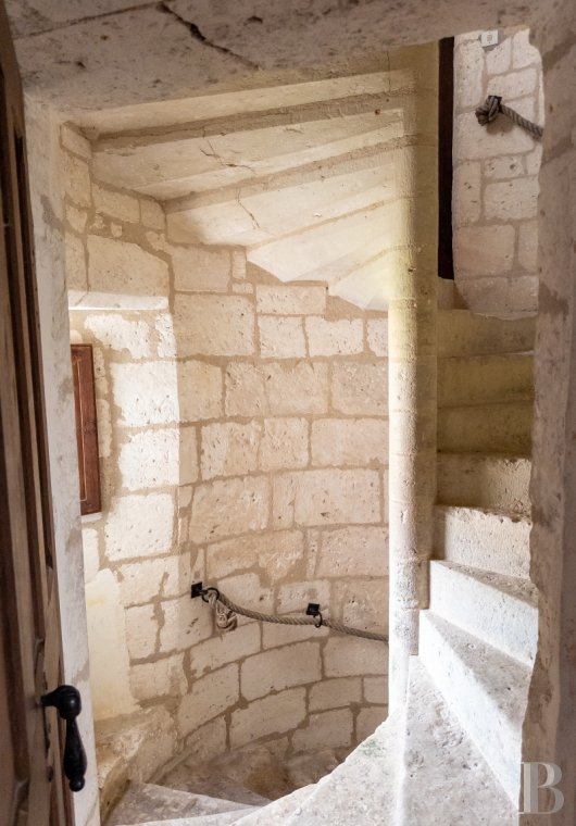 chateaux a vendre aquitaine   - 15