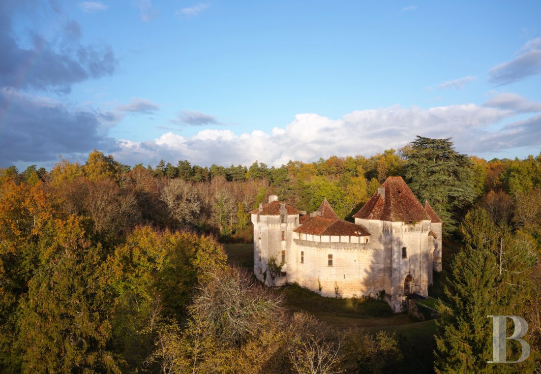 chateaux a vendre aquitaine   - 1