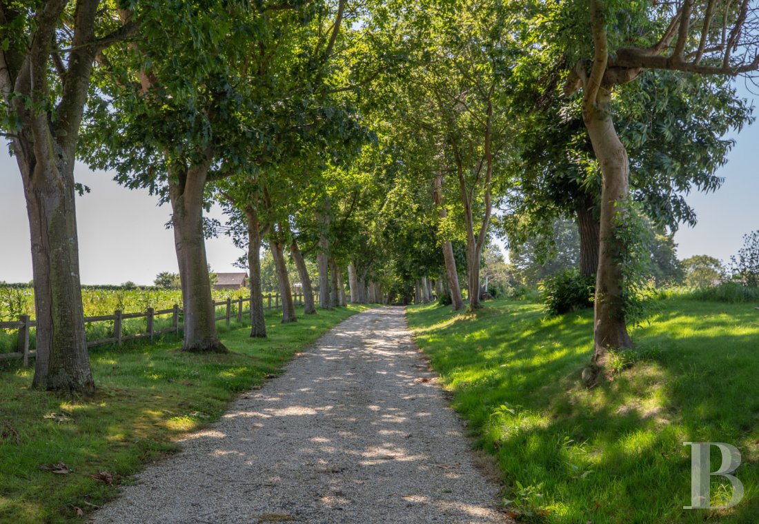 chateaux a vendre bretagne   - 29