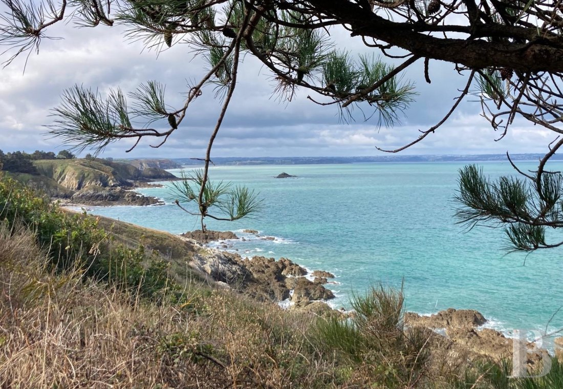 chateaux a vendre bretagne   - 29