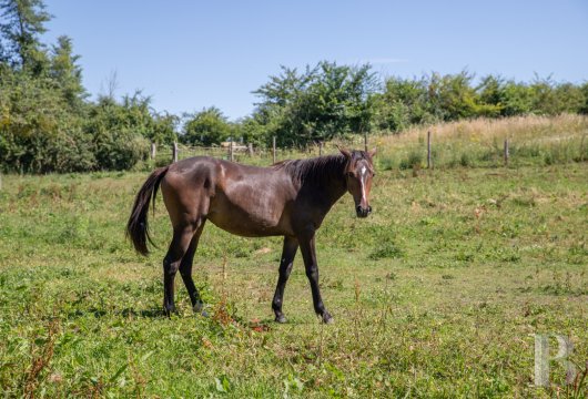 manoirs a vendre basse normandie   - 15