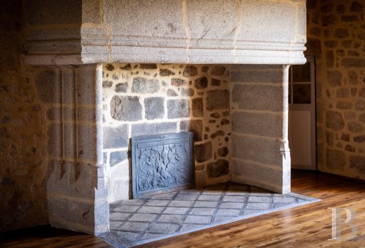 chateaux for sale France limousin   - 12