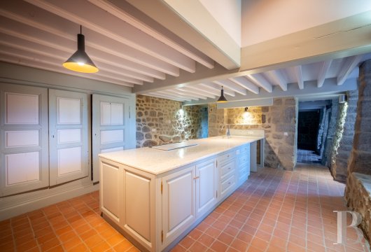 chateaux for sale France limousin   - 15