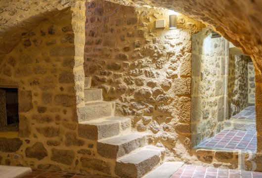 chateaux for sale France limousin   - 22