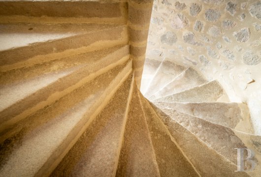 chateaux for sale France limousin   - 17