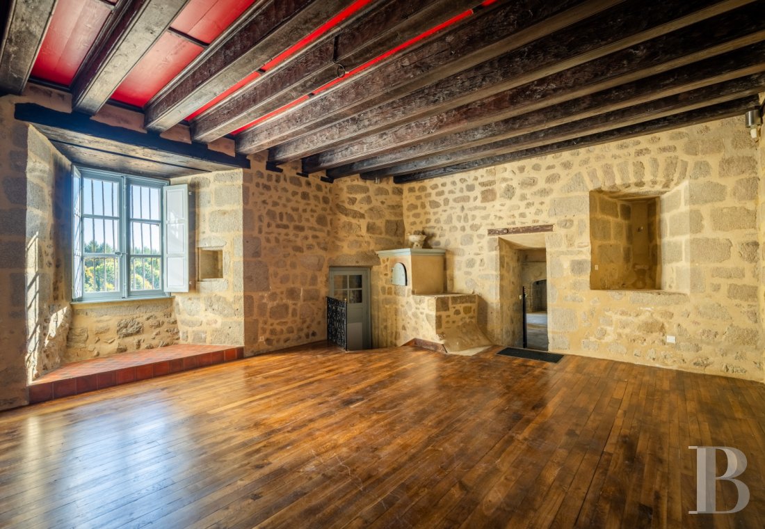 chateaux for sale France limousin   - 8